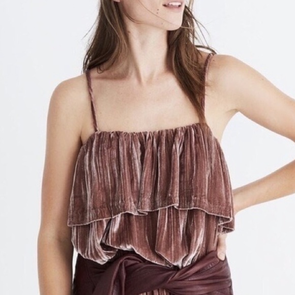Madewell Blush Crusted Velvet Ruffle Tank - Picture 13 of 13